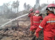 Kobaran Api di Lempuing Jaya Belum Padam, 21,6 Hektare Lahan Gambut Terbakar