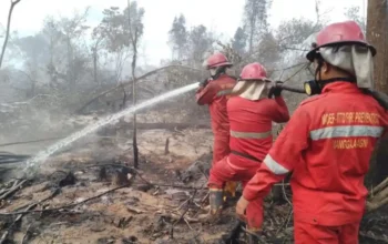 Kobaran Api di Lempuing Jaya Belum Padam, 21,6 Hektare Lahan Gambut Terbakar