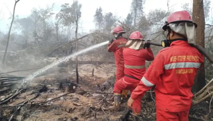 Kobaran Api di Lempuing Jaya Belum Padam, 21,6 Hektare Lahan Gambut Terbakar