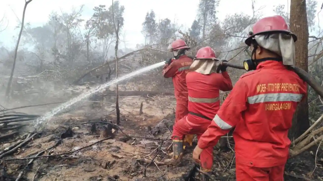 Kobaran Api di Lempuing Jaya Belum Padam, 21,6 Hektare Lahan Gambut Terbakar